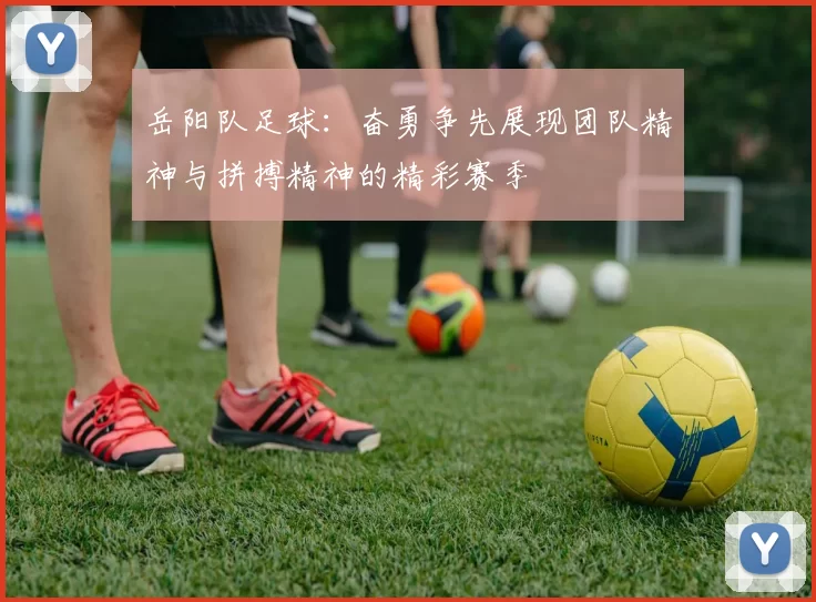 岳阳队足球：奋勇争先展现团队精神与拼搏精神的精彩赛季