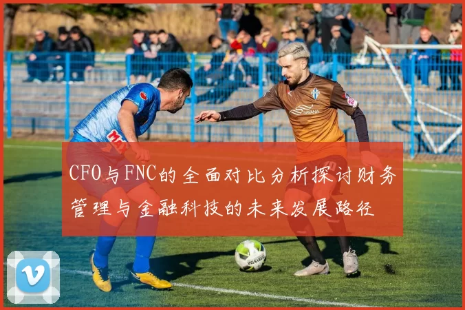 CFO与FNC的全面对比分析探讨财务管理与金融科技的未来发展路径