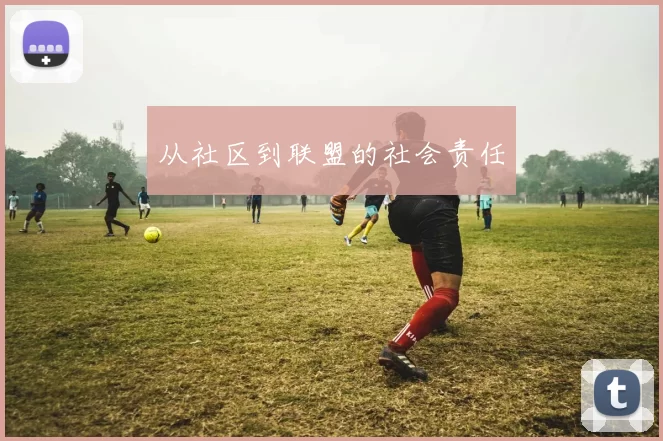 从社区到联盟的社会责任