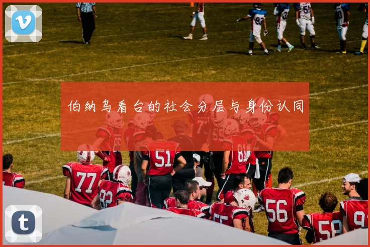 伯纳乌看台的社会分层与身份认同