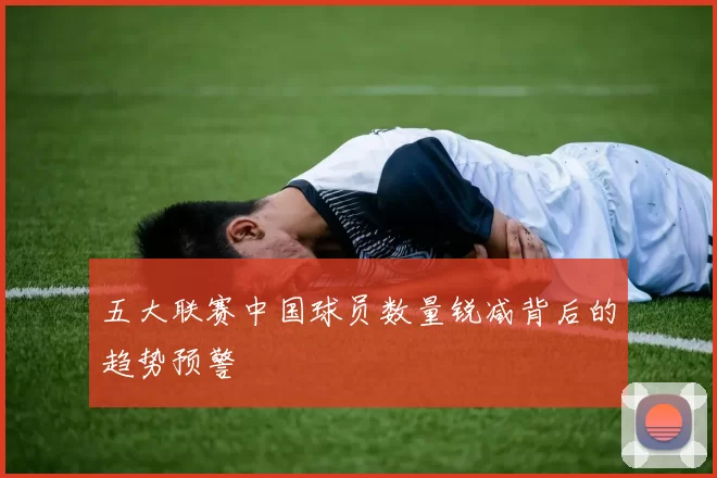 五大联赛中国球员数量锐减背后的趋势预警