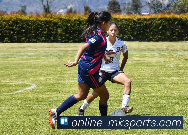 App Interface Preview