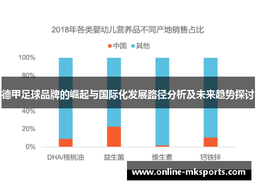 德甲足球品牌的崛起与国际化发展路径分析及未来趋势探讨