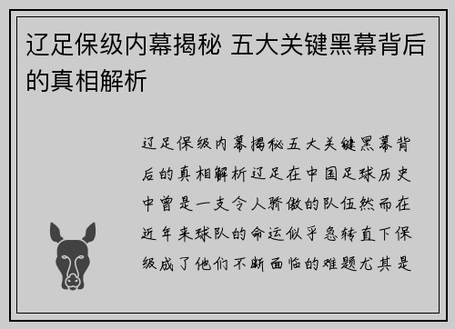 辽足保级内幕揭秘 五大关键黑幕背后的真相解析