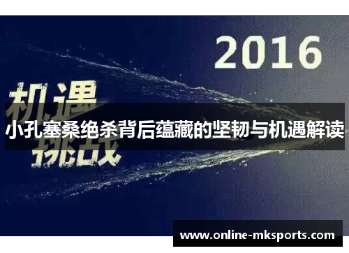 小孔塞桑绝杀背后蕴藏的坚韧与机遇解读
