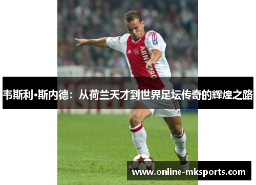 韦斯利·斯内德：从荷兰天才到世界足坛传奇的辉煌之路